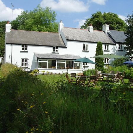 Beechwood B&B Postbridge Exterior foto