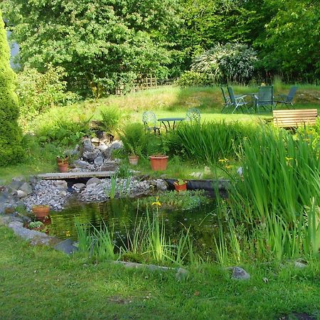 Beechwood B&B Postbridge Exterior foto